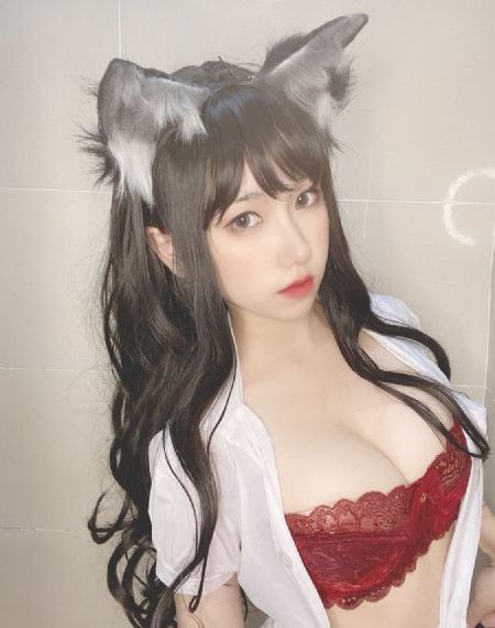 文豪野犬第六季全集免费观看_BD电影免费在线