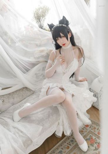 g版同款美国队长电影_在线完整观看